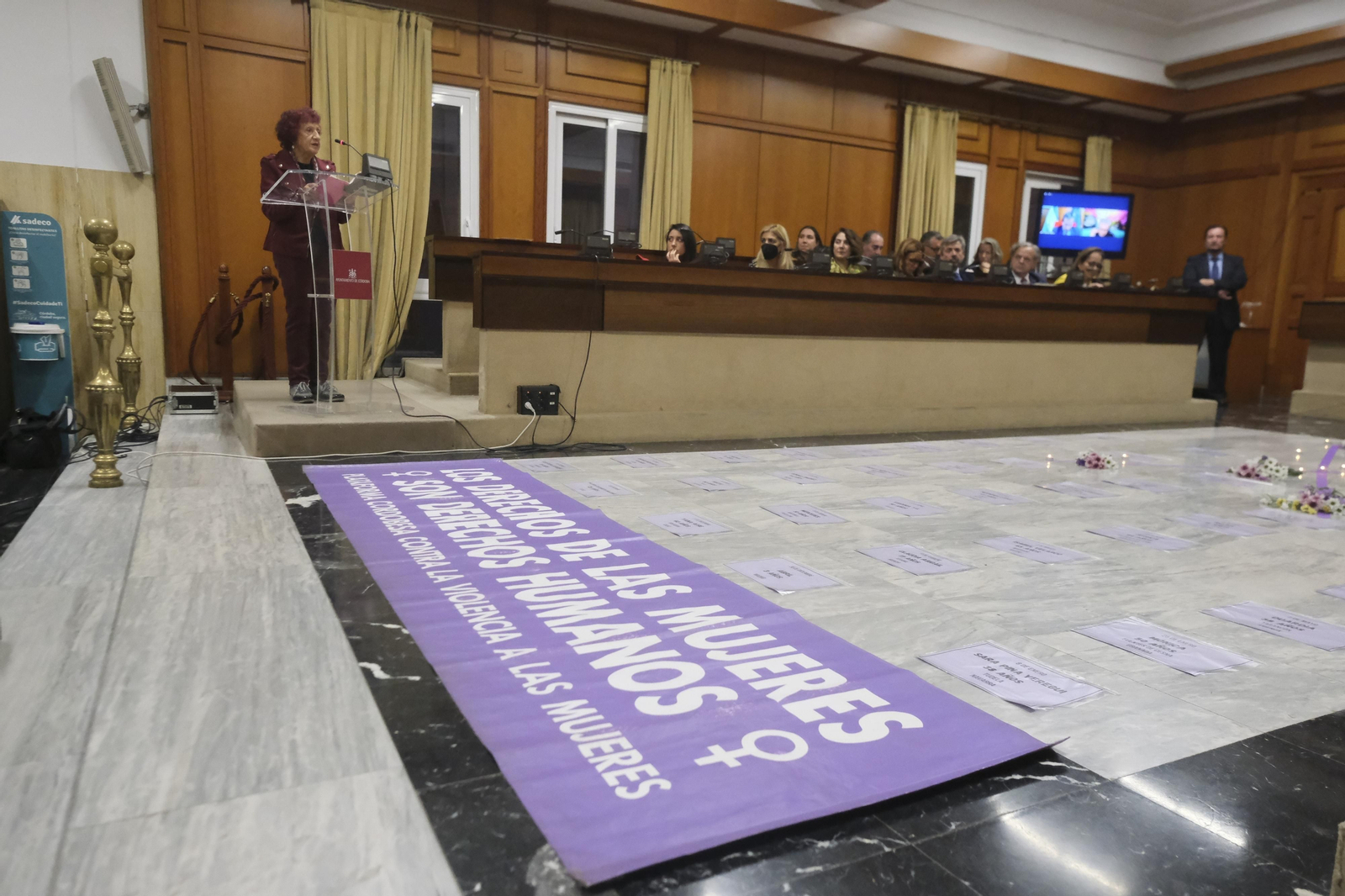 El Pleno del Ayuntamiento de Córdoba contra la violencia a las mujeres, en imágenes