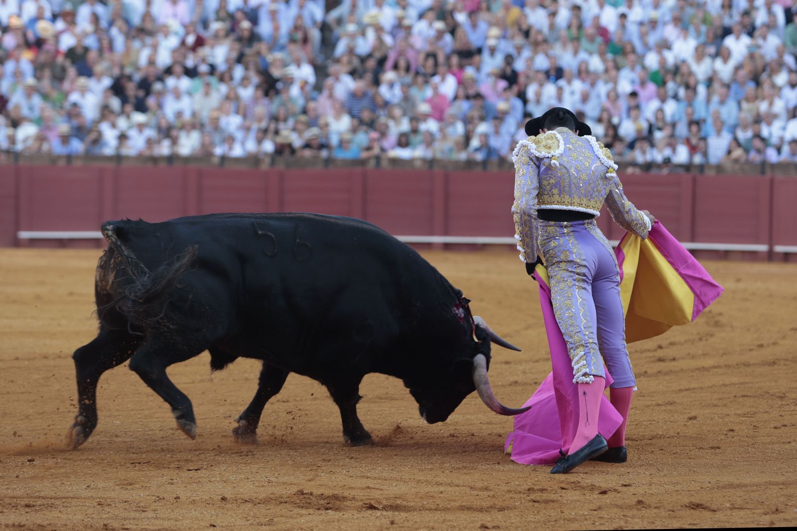 El triunfo de Castella en imágenes