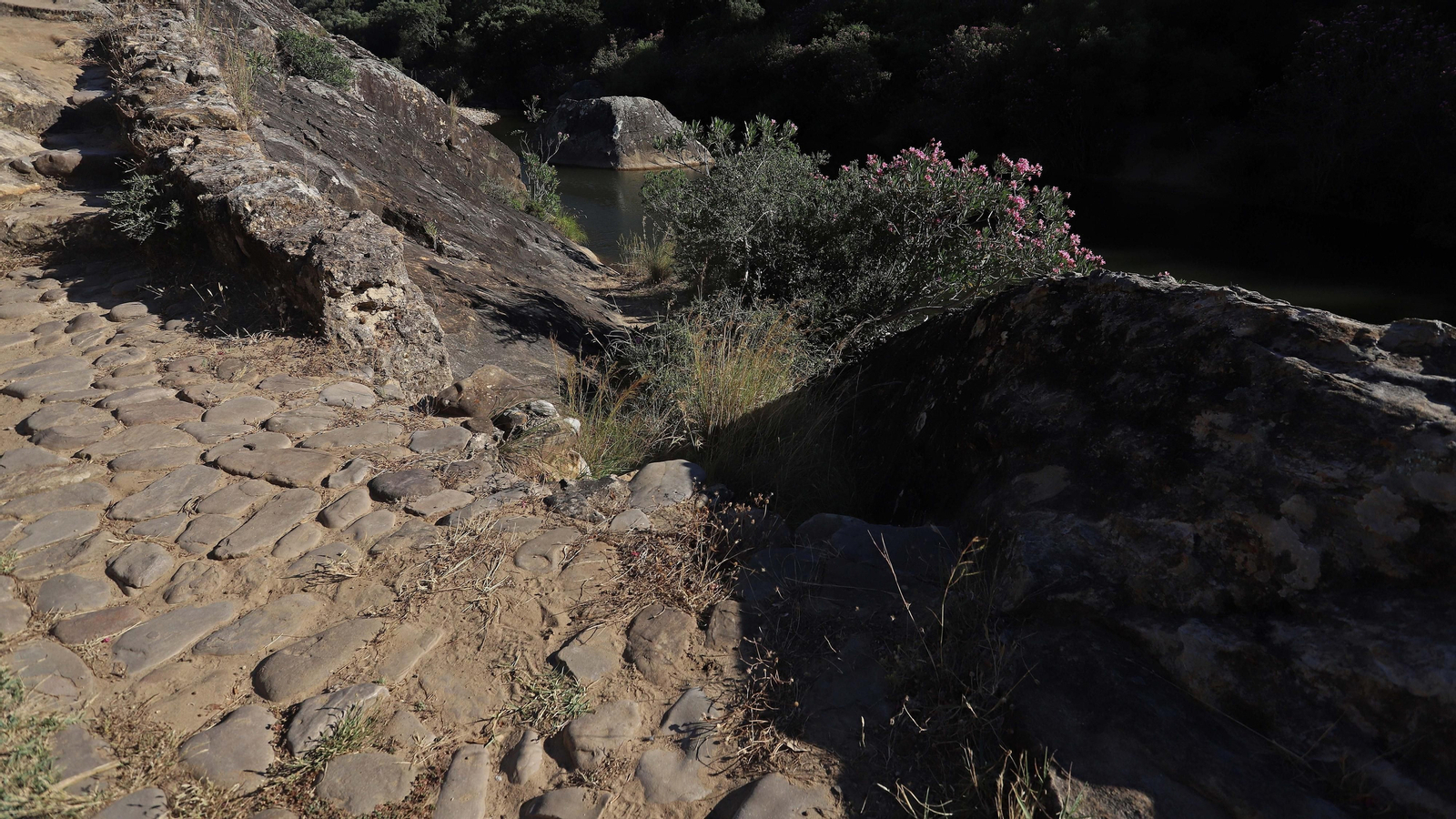 Las mejores fotos del sendero del Río Hozgarganta