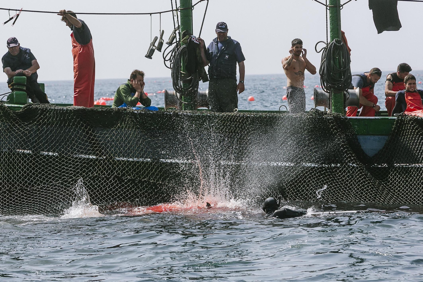 Imágenes de la primera levantá del año