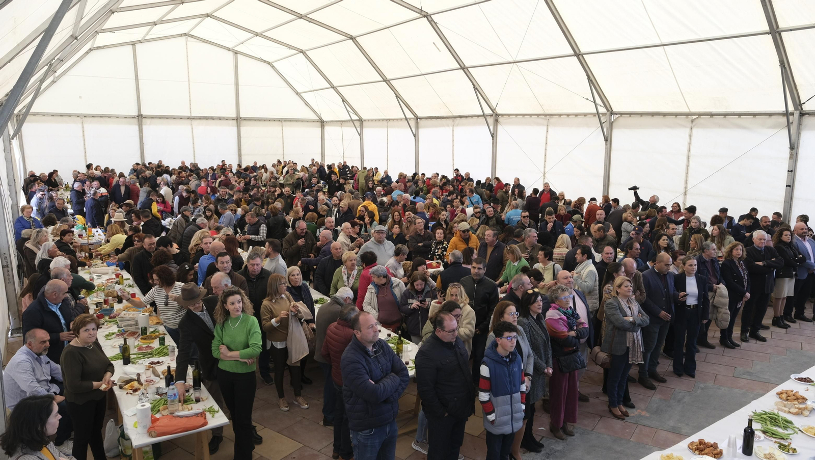 Imágenes de la fiesta de la XXVII Cata de Vinos de Benahadux