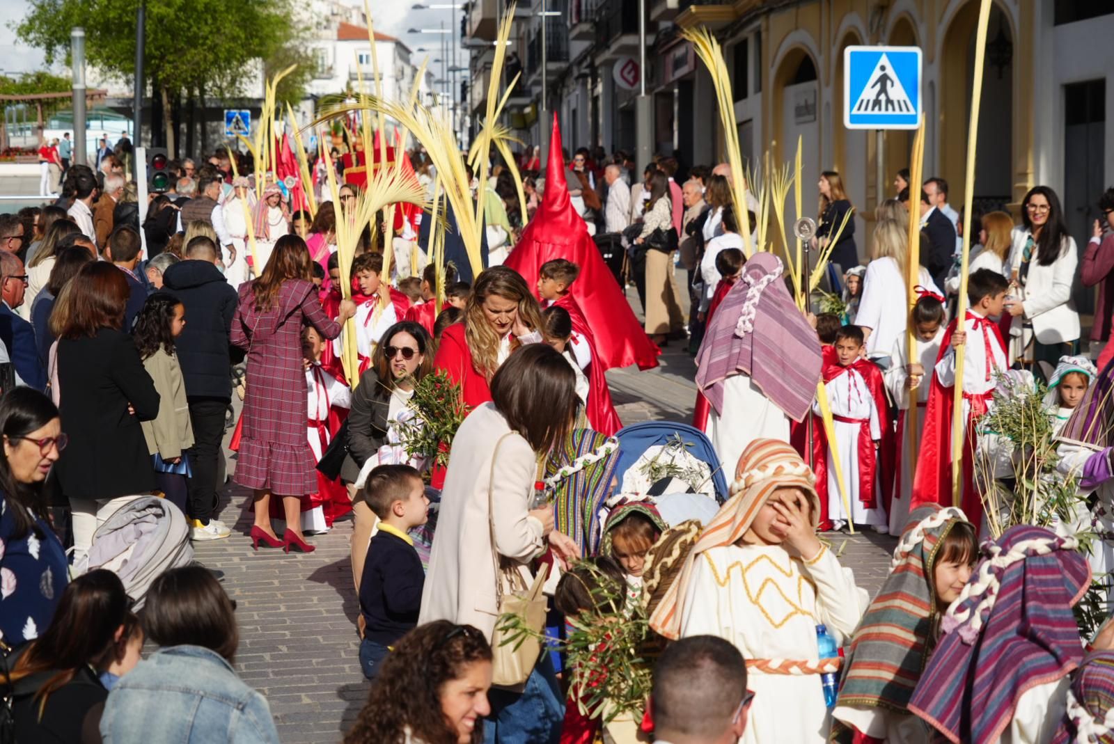 La procesión de la Borriquita en Pozoblanco