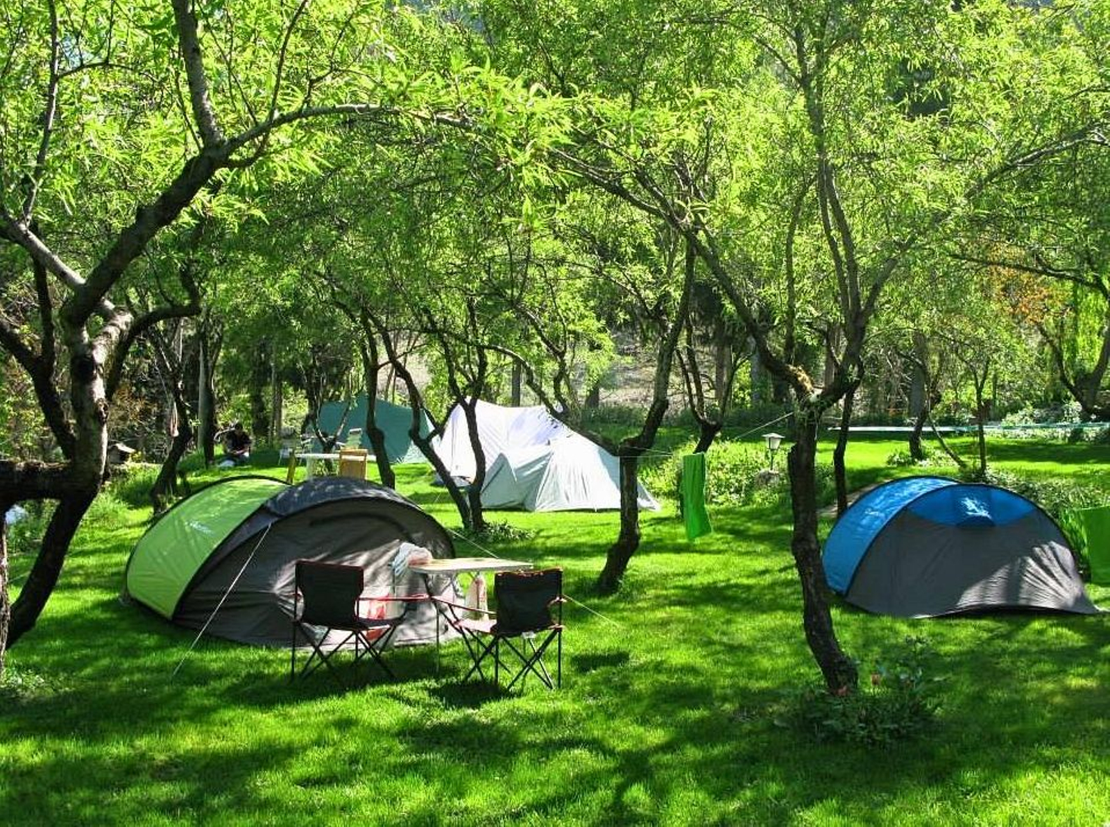 Las parcelas del Camping Cortijo San Isicio no son cuadriculadas para el cuidado del césped natural.