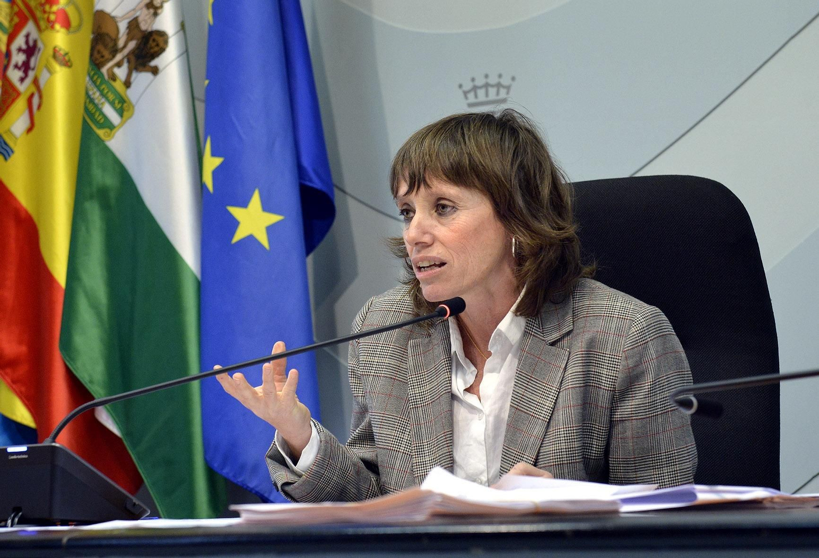 La concejala socialista Laura Álvarez. La concejala socialista Laura Álvarez.