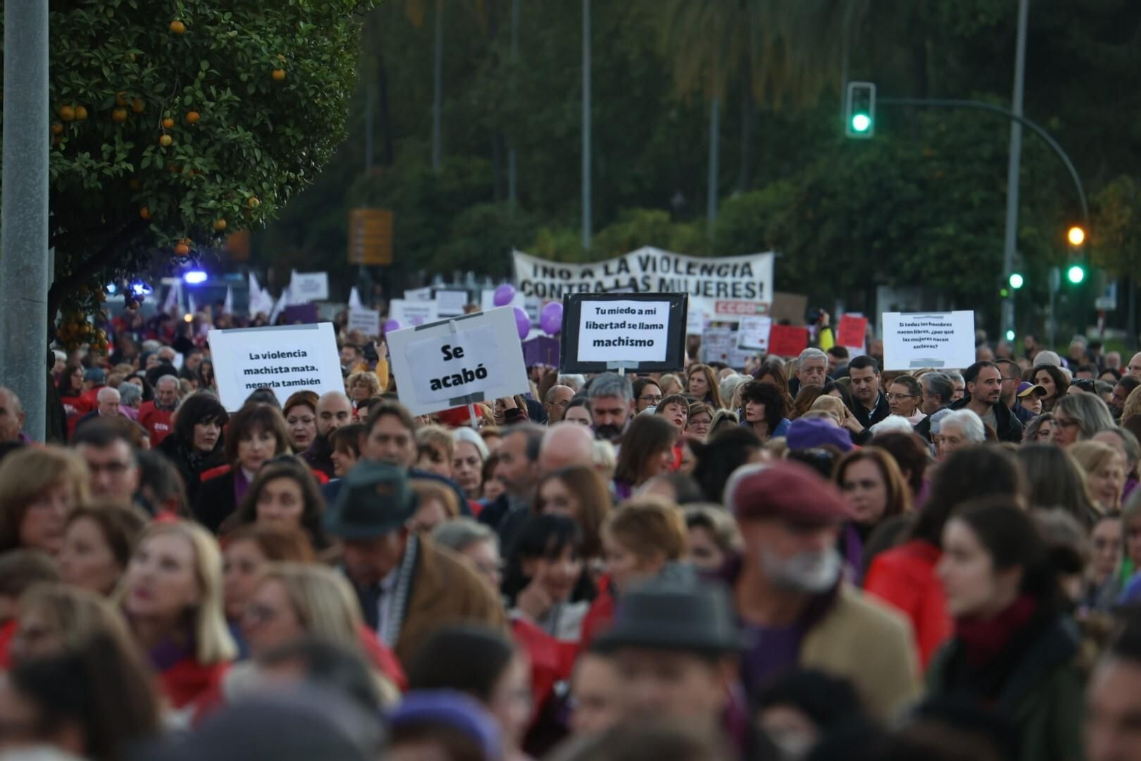 La manifestación del 25N en Córdoba, en imágenes