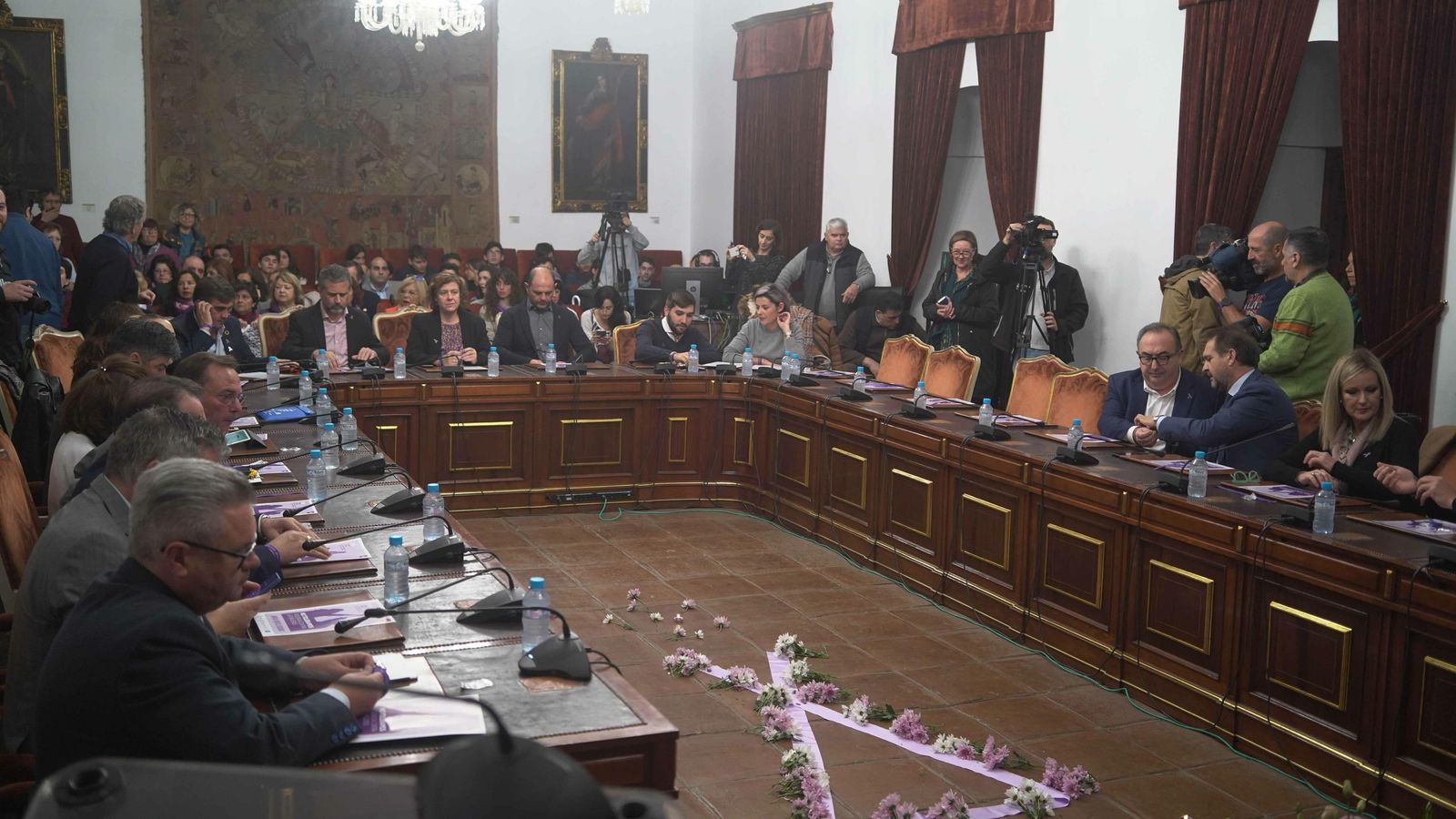 Pleno extraordinario en la Diputación.