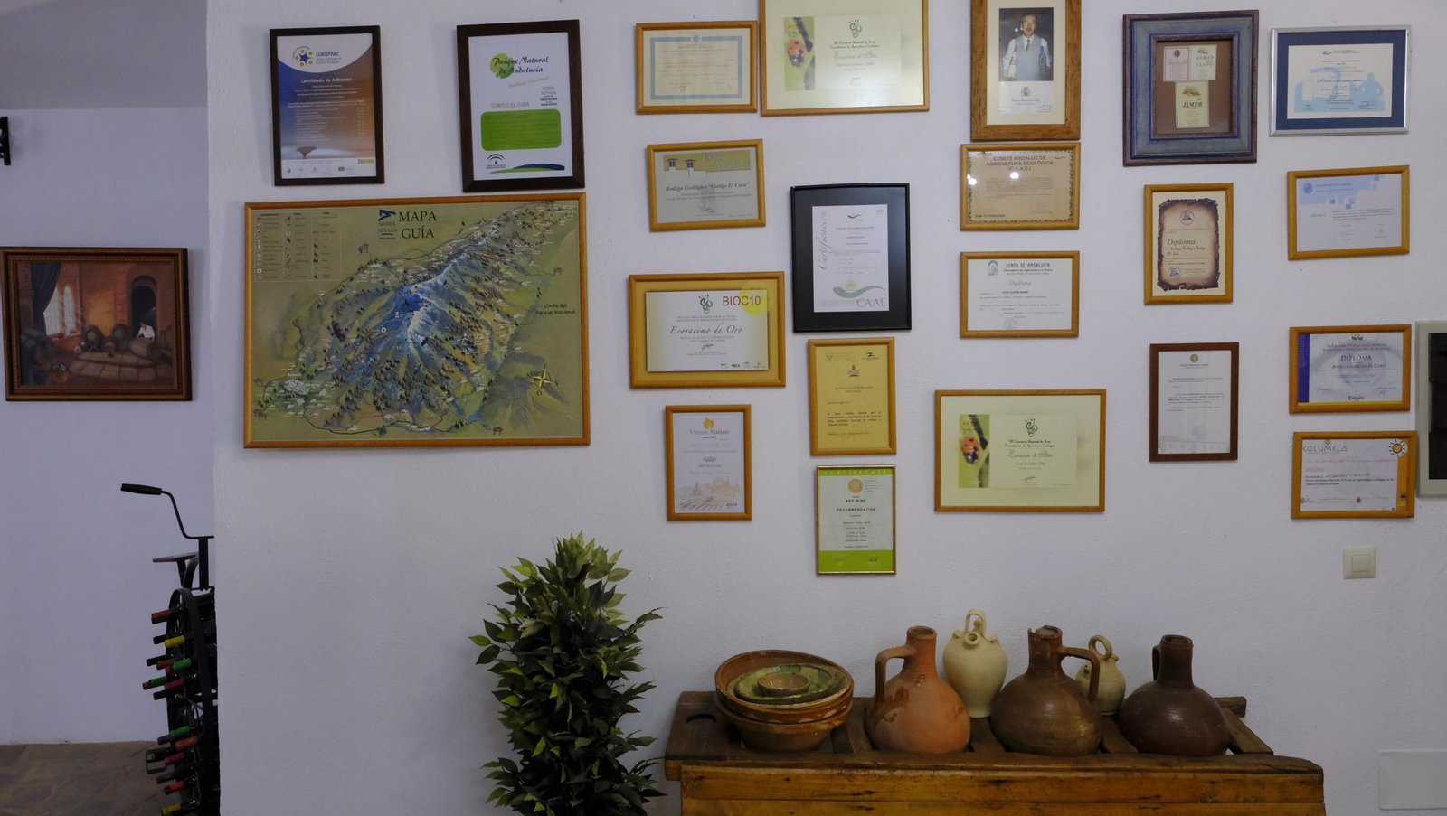 La vendimia en la Bodega Cortijo del Cura de Laujar, en imágenes
