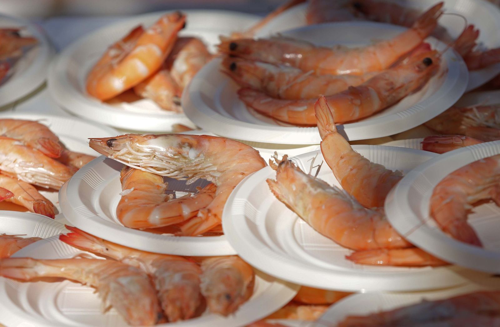 Fotos del sábado de Carnaval Especial 2026 en Algeciras