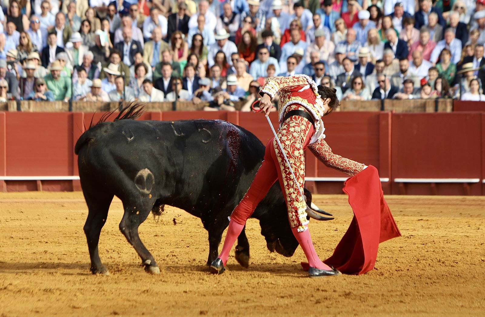 Las mejores imágenes de la corrida de toros de Juan Ortega, Roca Rey y Pablo Aguado
