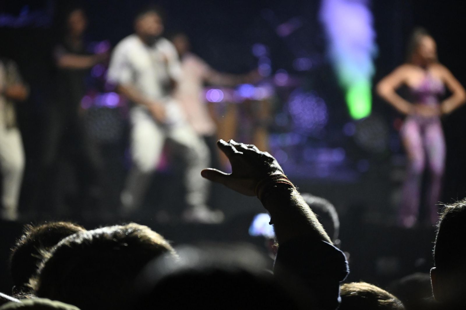 Imágenes del concierto de Sergio Contreras y Raule en las Colombinas
