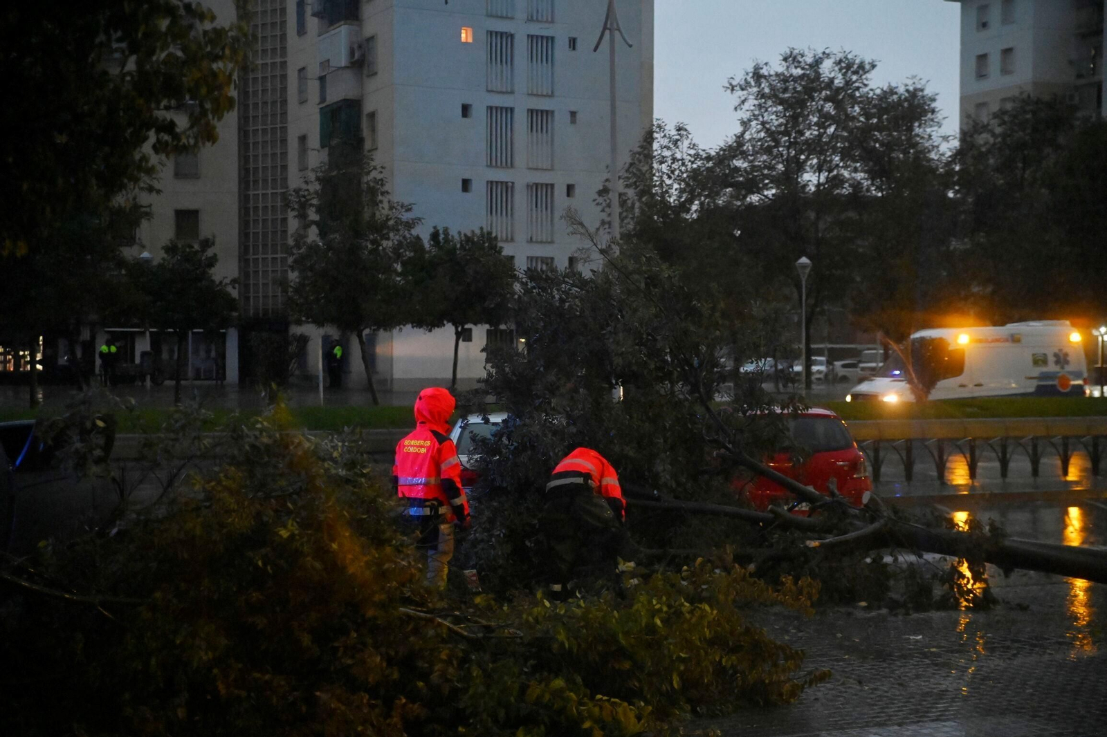 Las imágenes de los daños causados por el fuerte viento en el Sector Sur en Córdoba