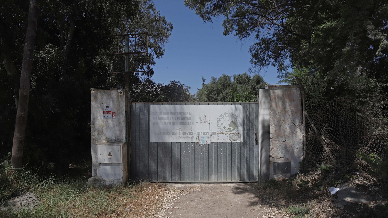 Fotos de la Protectora de Animales y Plantas de Algeciras
