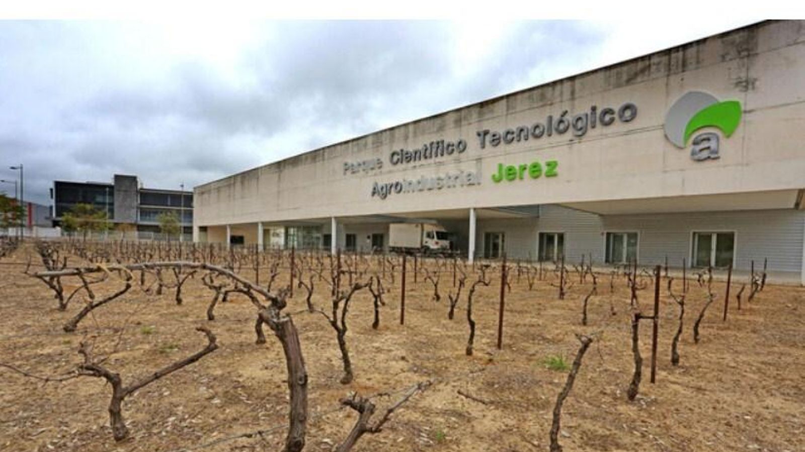 Cepas decorativas junto al edificio singular del PTA tras el que se ubica el Centro del Vino.