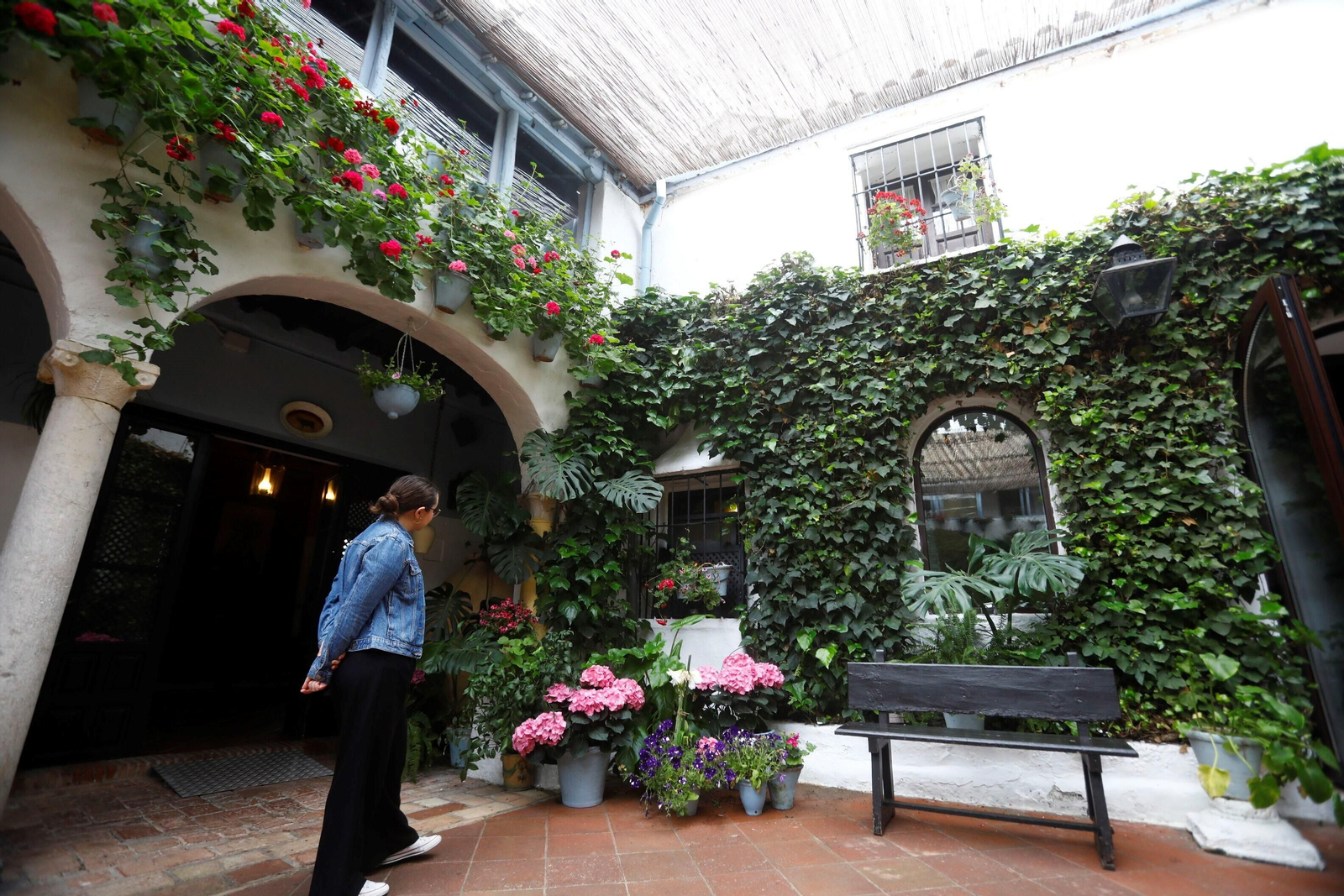 Los patios de Córdoba de la ruta Judería-San Francisco, en imágenes