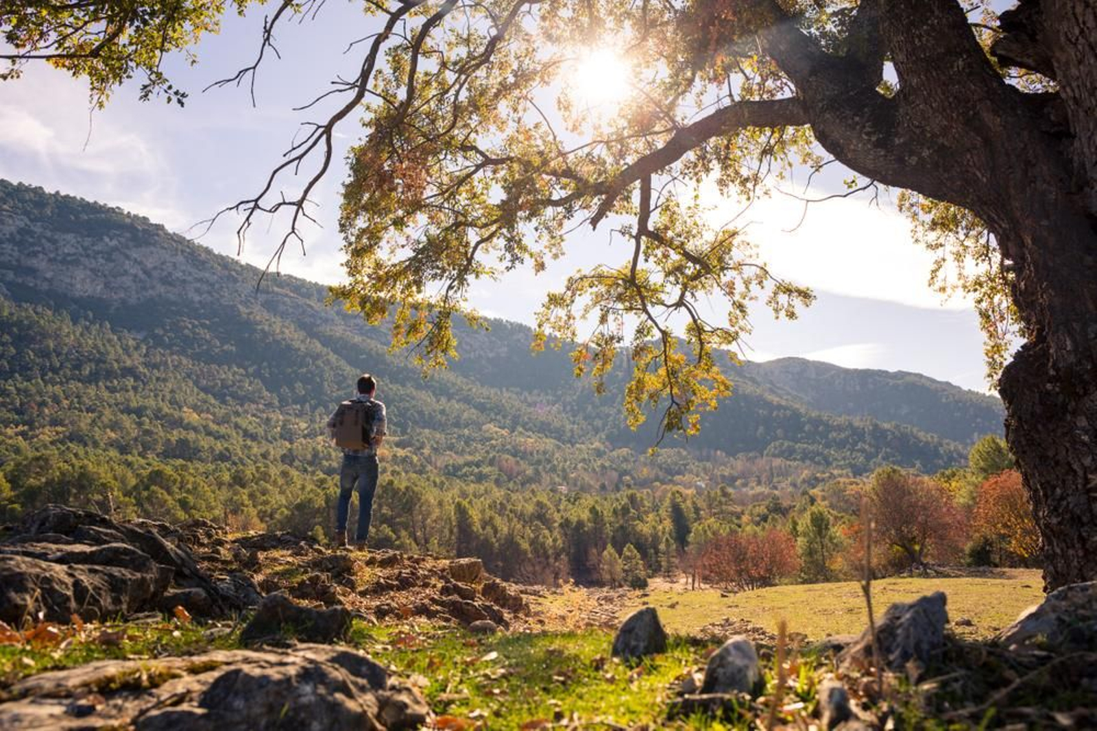 Vive la belleza del parque natural en cualquier época del año.
