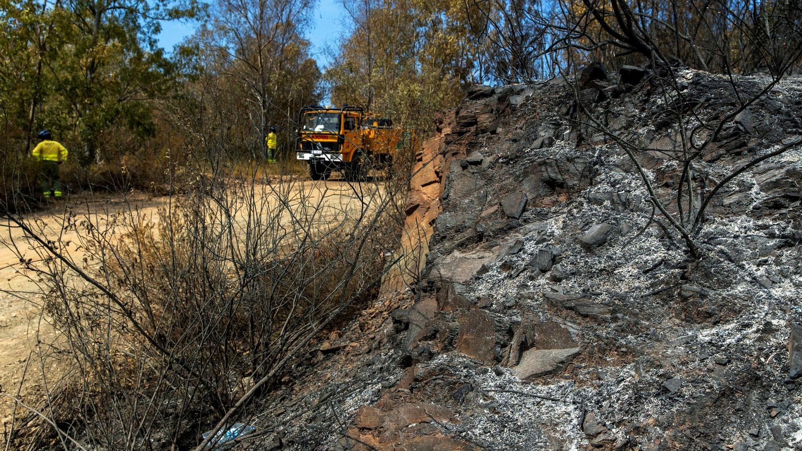 El terreno calcinado por el fuego.