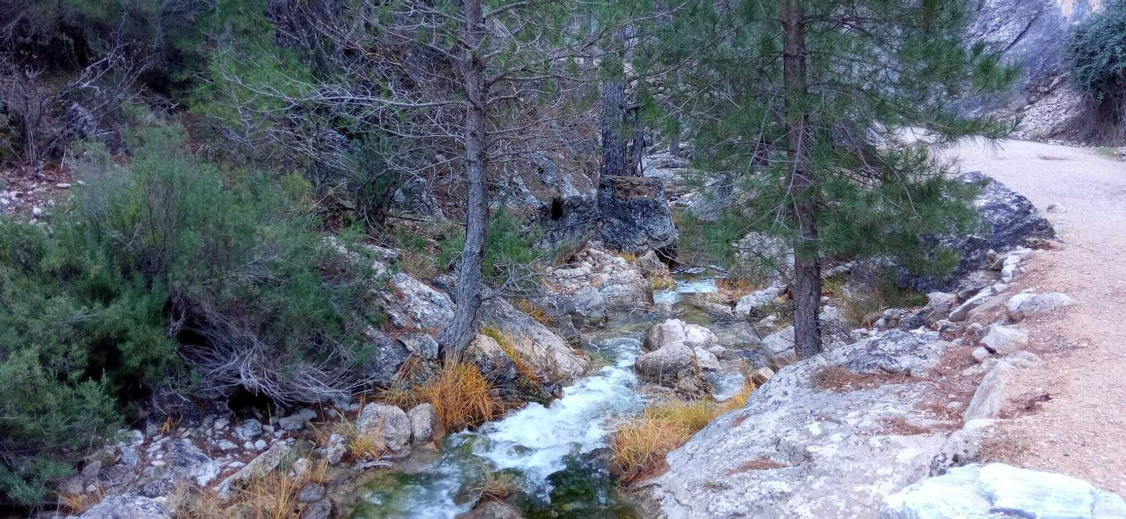 Cascadas de Guazalamanco