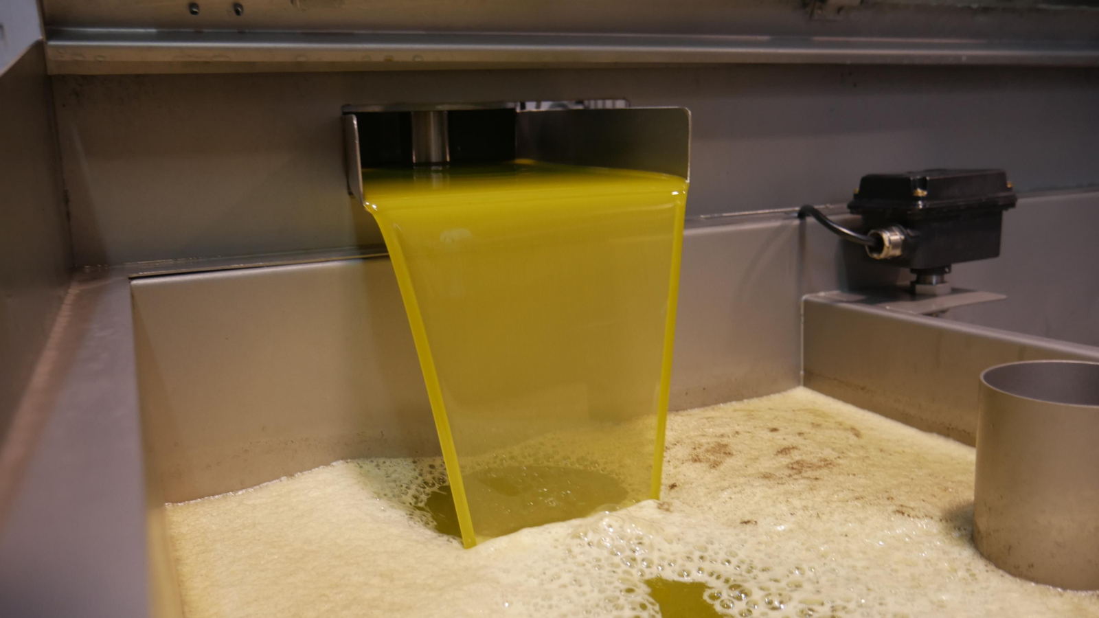 Finalización del proceso y obtención del aceite.