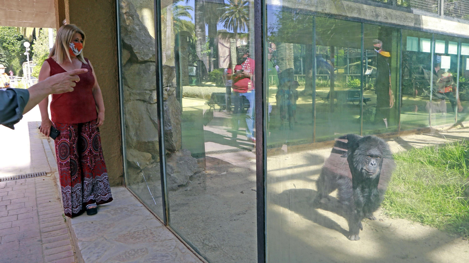 Reapertura del Zoo de Jerez