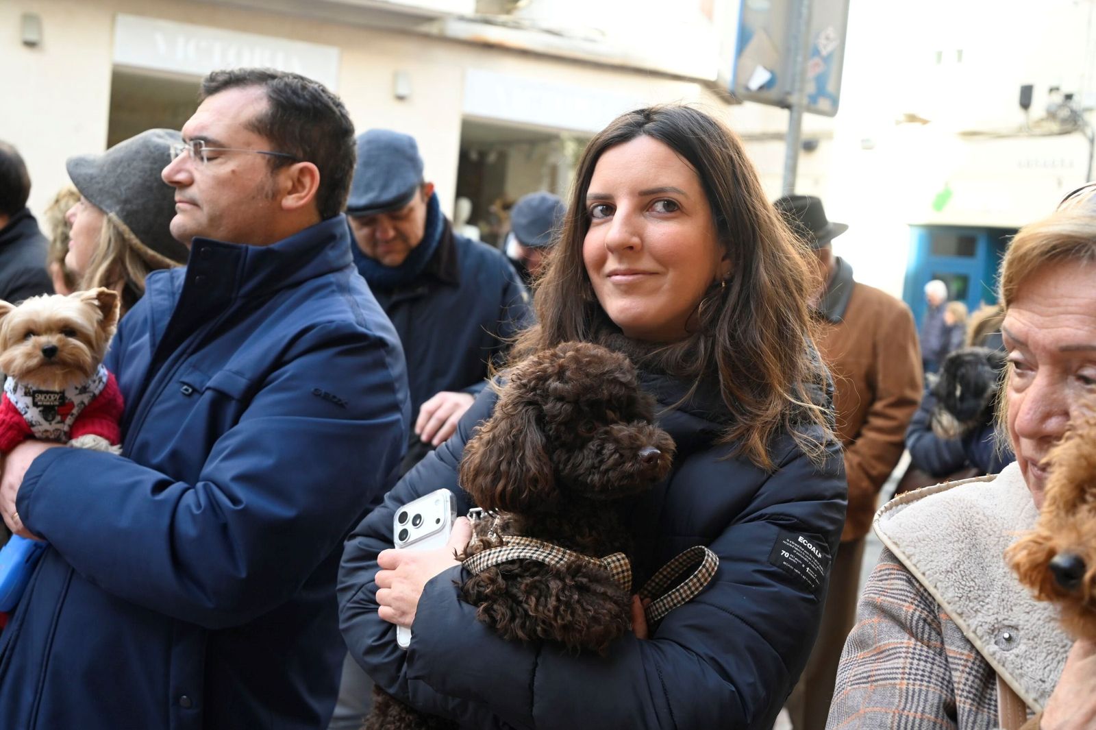 La bendición de animales por San Antón en Córdoba