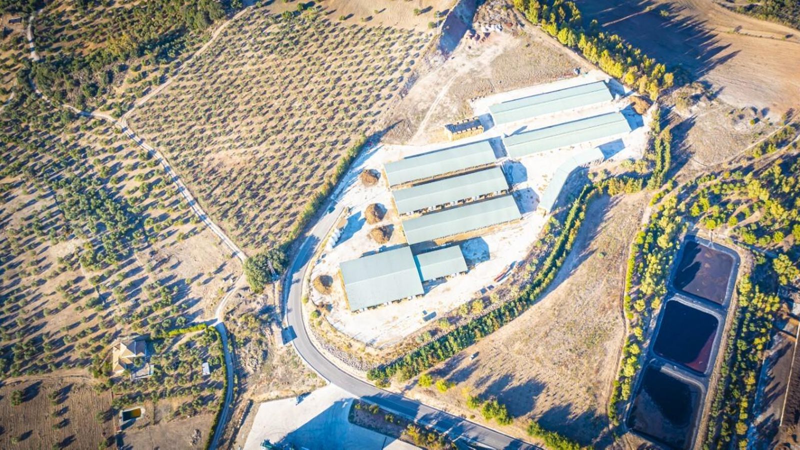 La cooperativa olvereña de Los Remedios a vista de dron.