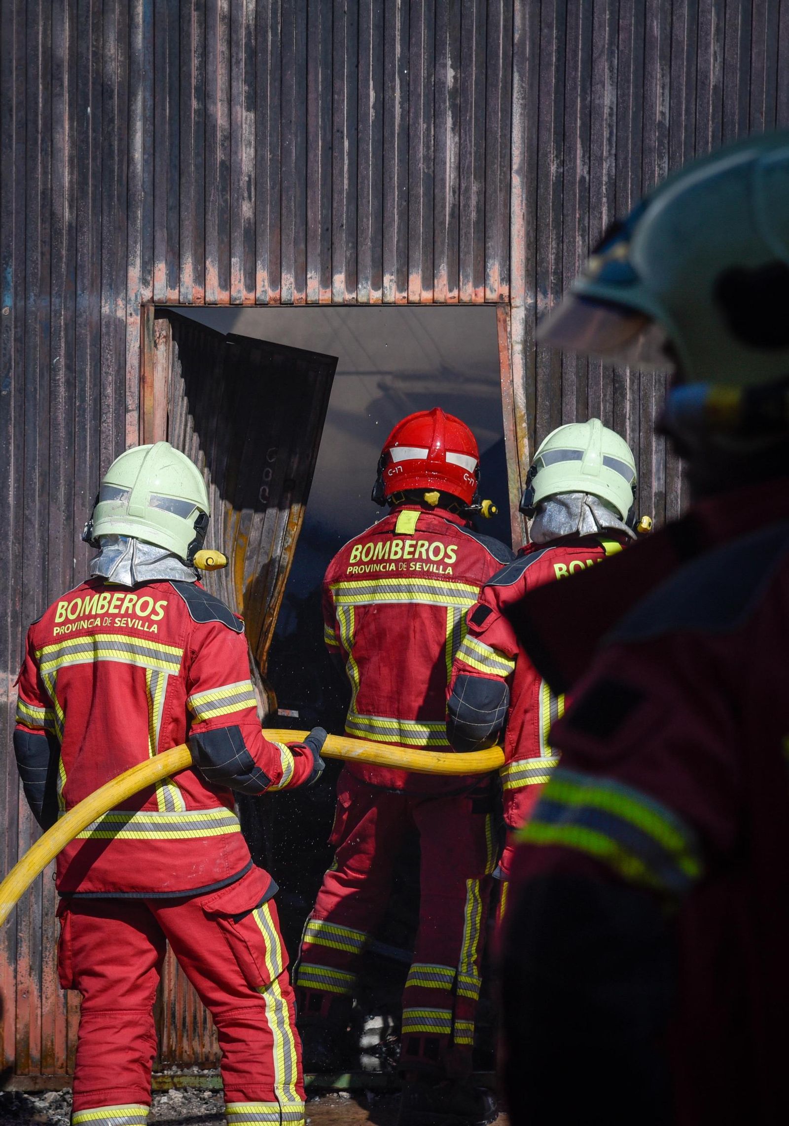 Las imágenes del Incendio en Majaravique