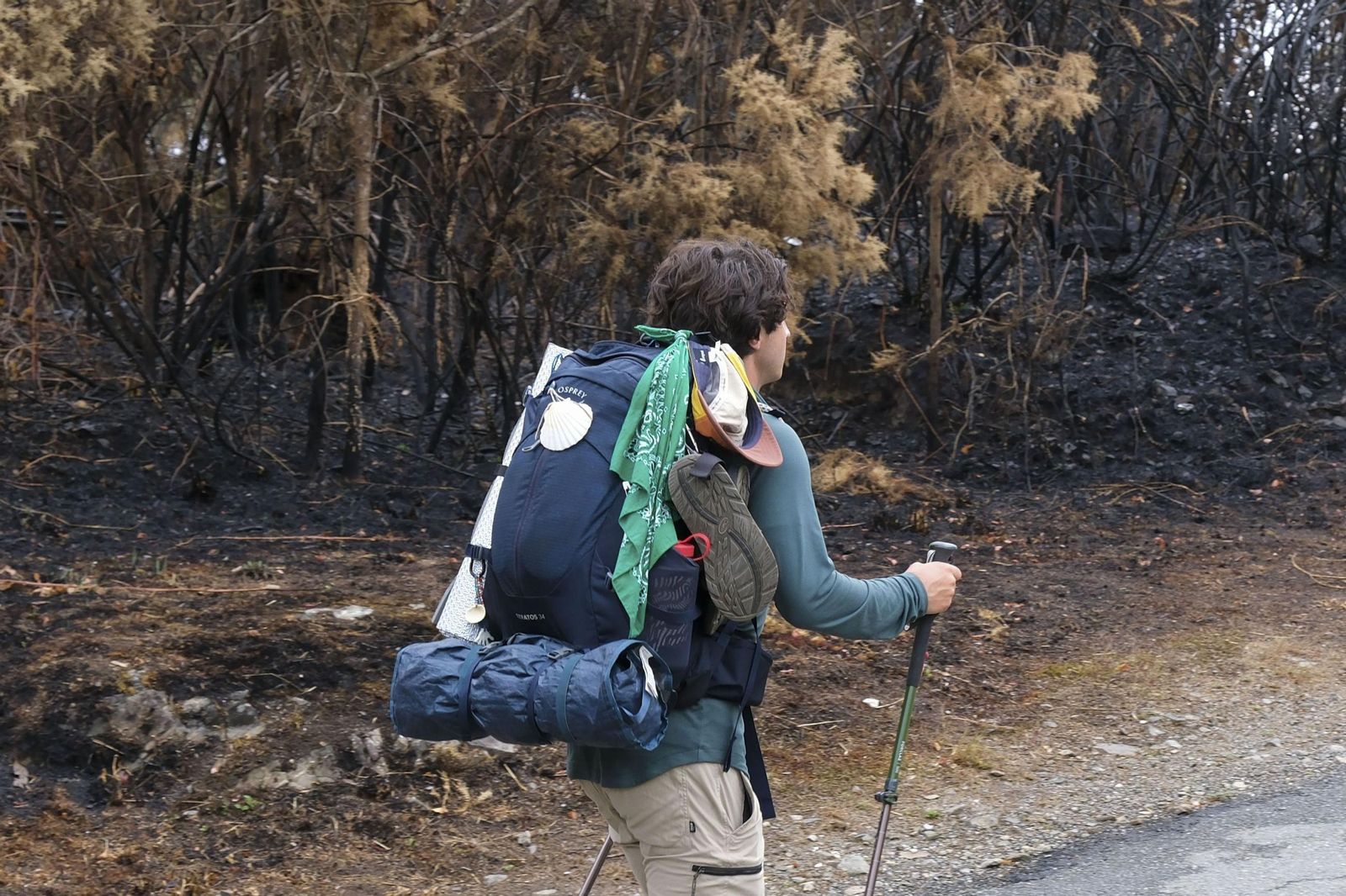 Un peregrino camina junto a una zona de monte calcinada.
