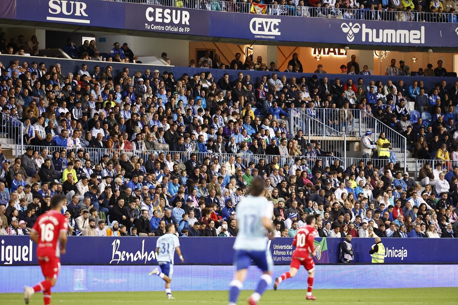 Búscate en las gradas de La Rosaleda en el Málaga CF-Córdoba