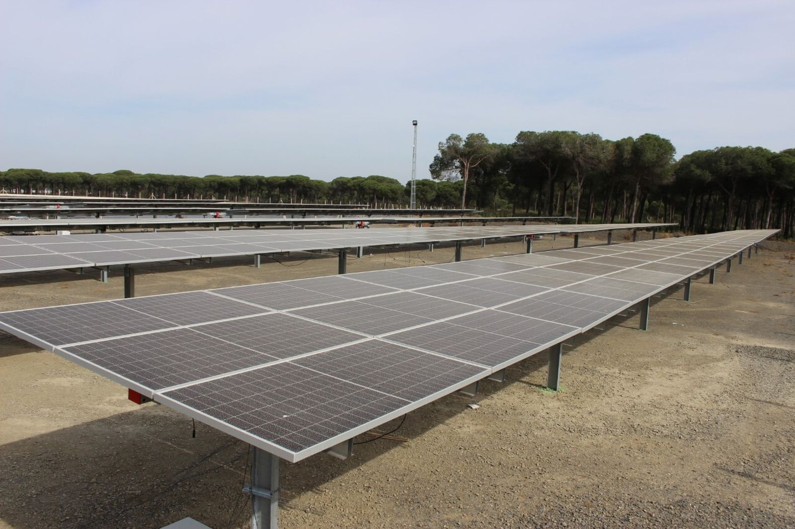 La nueva planta tiene beneficios medioambientales y económicos.