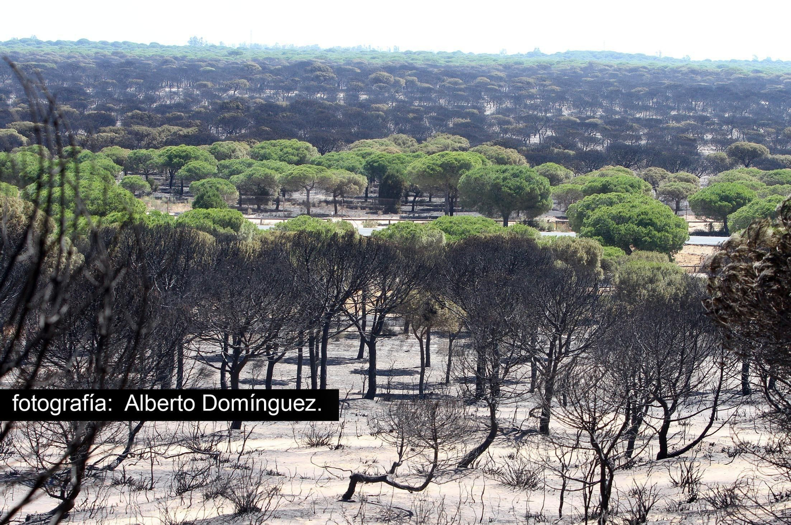 Imágenes de Cuesta Maneli tras el incendio.