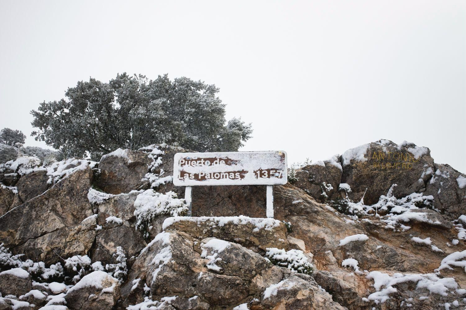 Imágenes de nieves en la Sierra de Cádiz este Martes Santo
