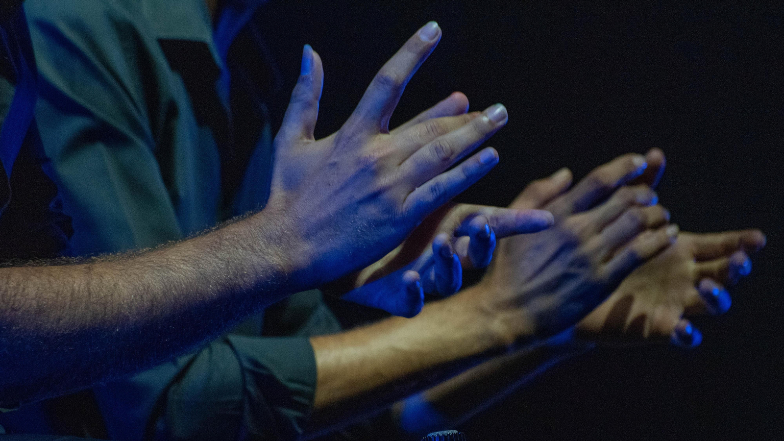 Fotos del recital flamenco en el Encuentro Internacional de Guitarra Paco de Lucía
