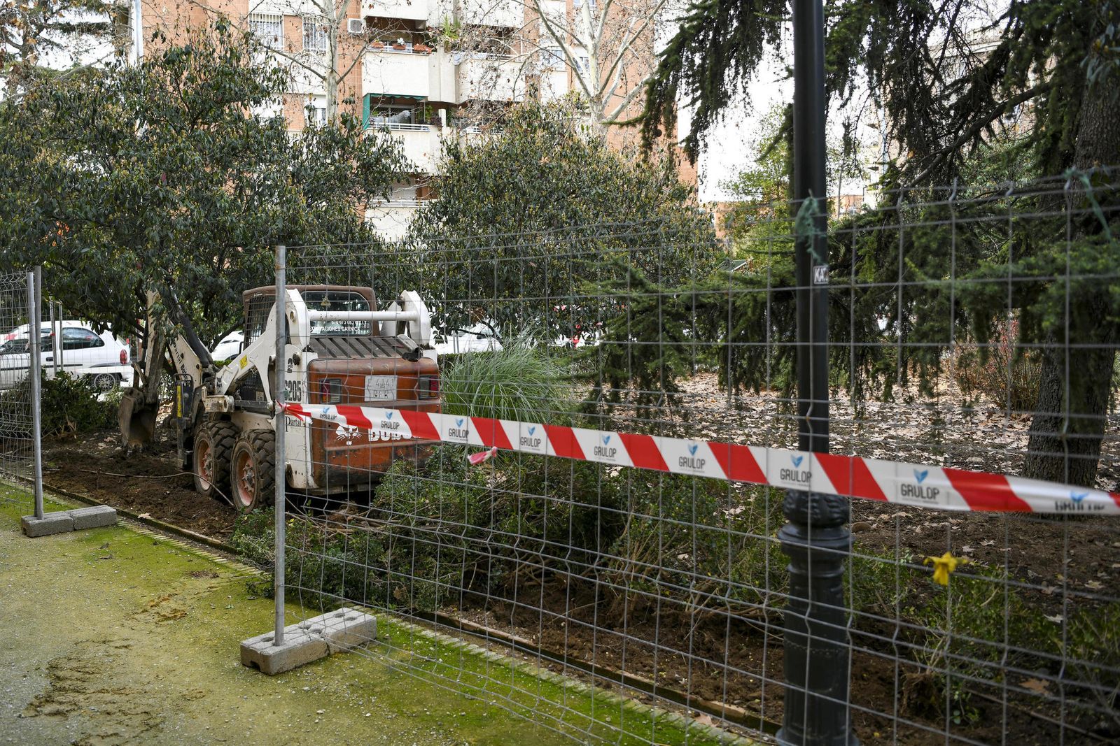Fotos: así ha quedado la Plaza Escultor López Burgos tras otra poda en Granada