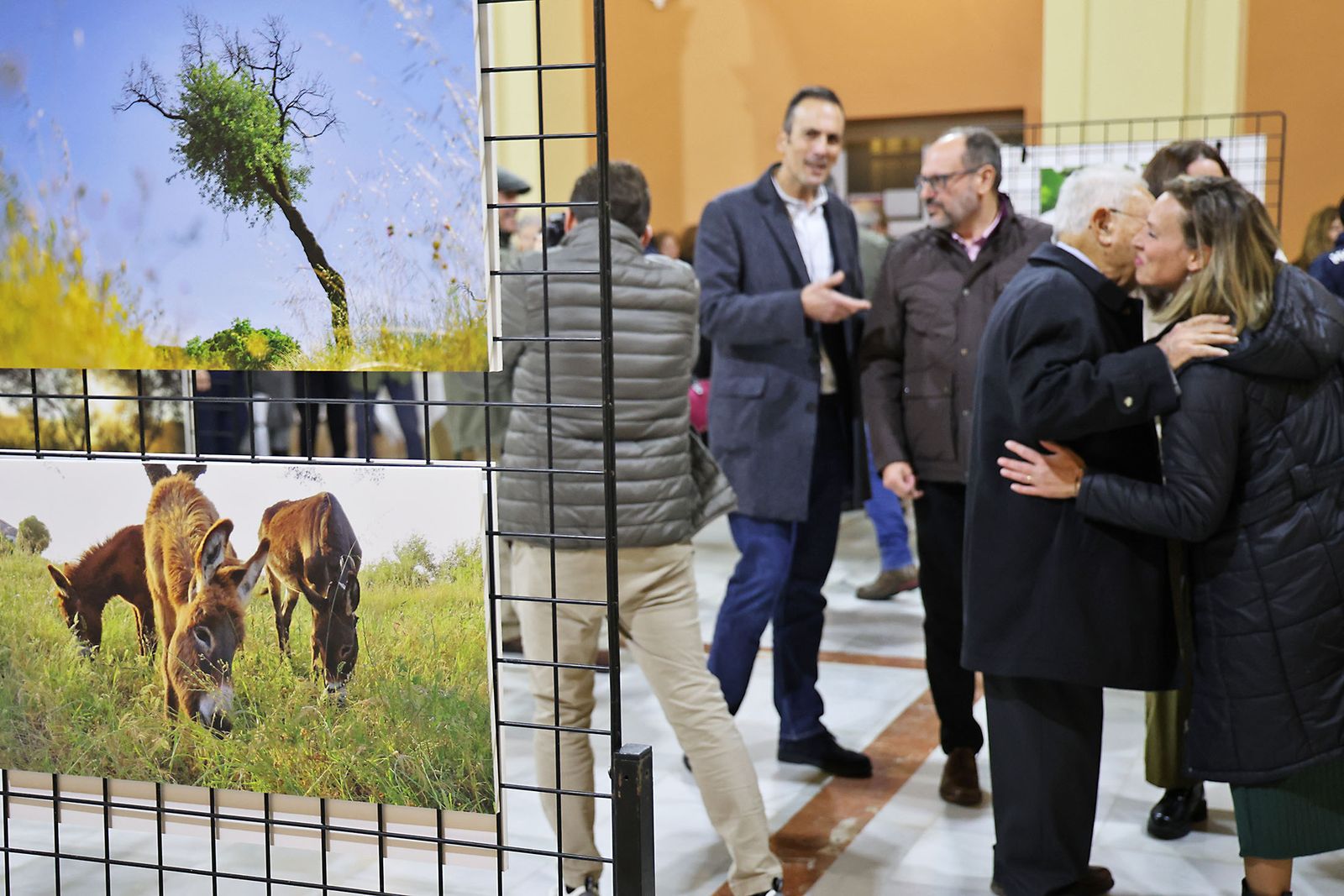 Exposición del I Rally Fotográfico de La Canastita