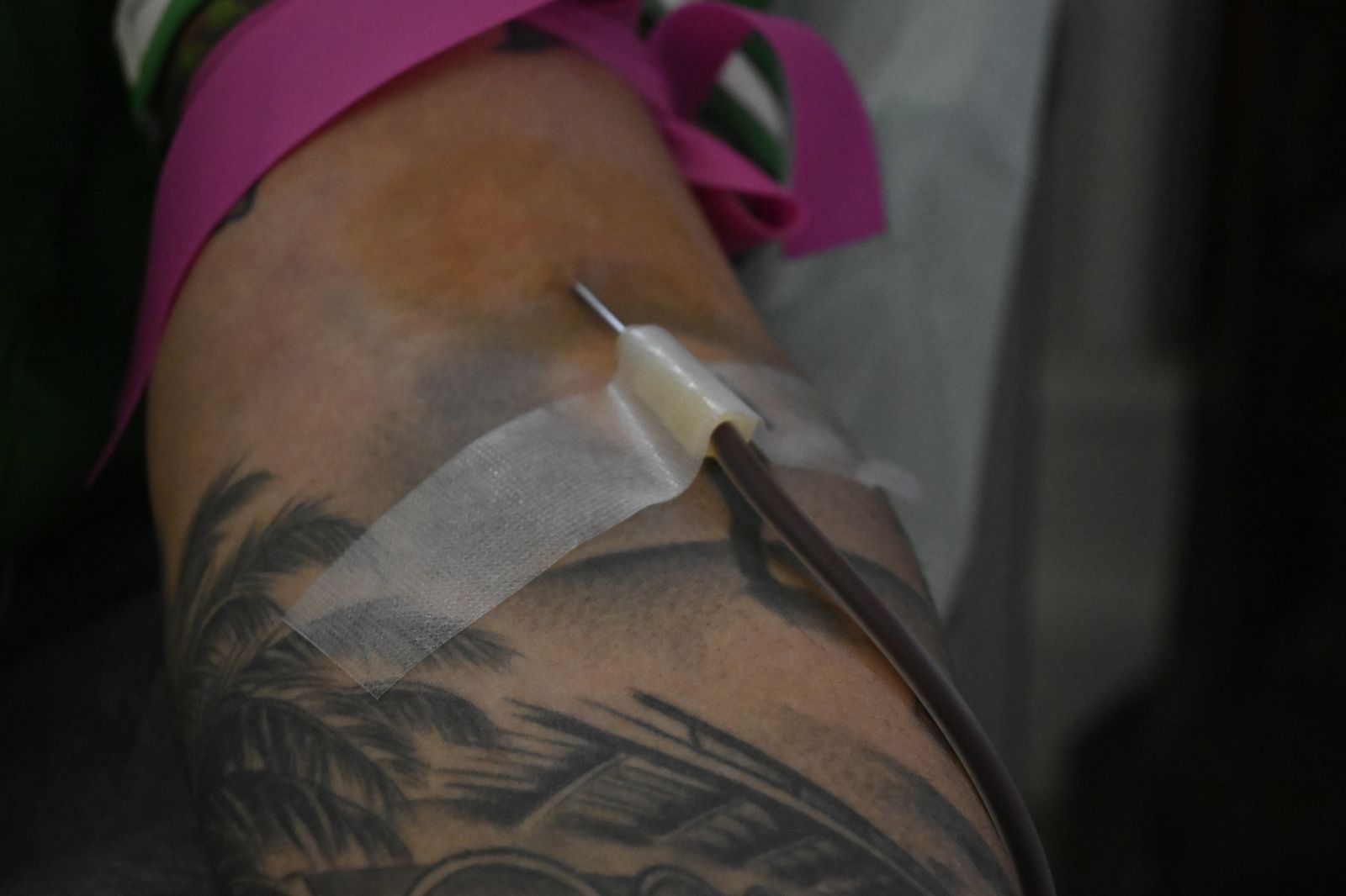 Donación de Sangre en la Casa Colón de Huelva, en imágenes