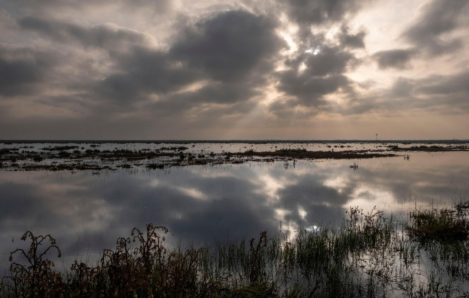 Imagen de las marismas de Doñana después de un episodio de lluvias.