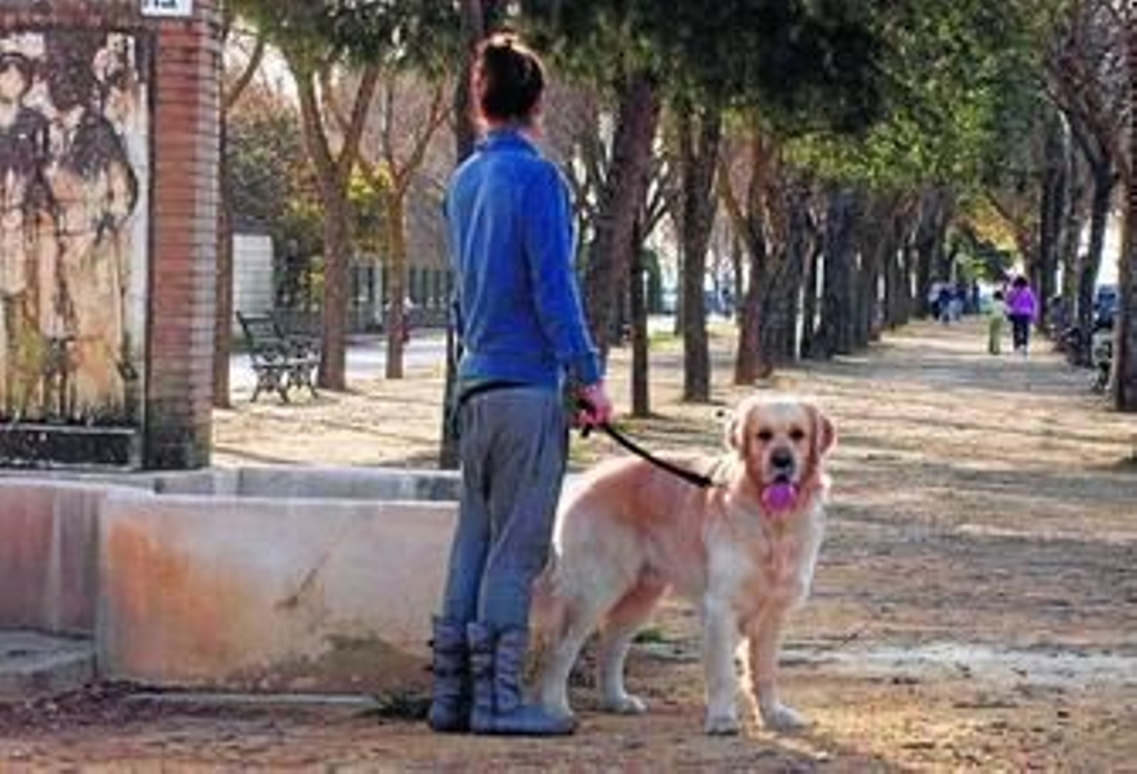 Los perros de más de 20 kilos deberán llevar bozal.