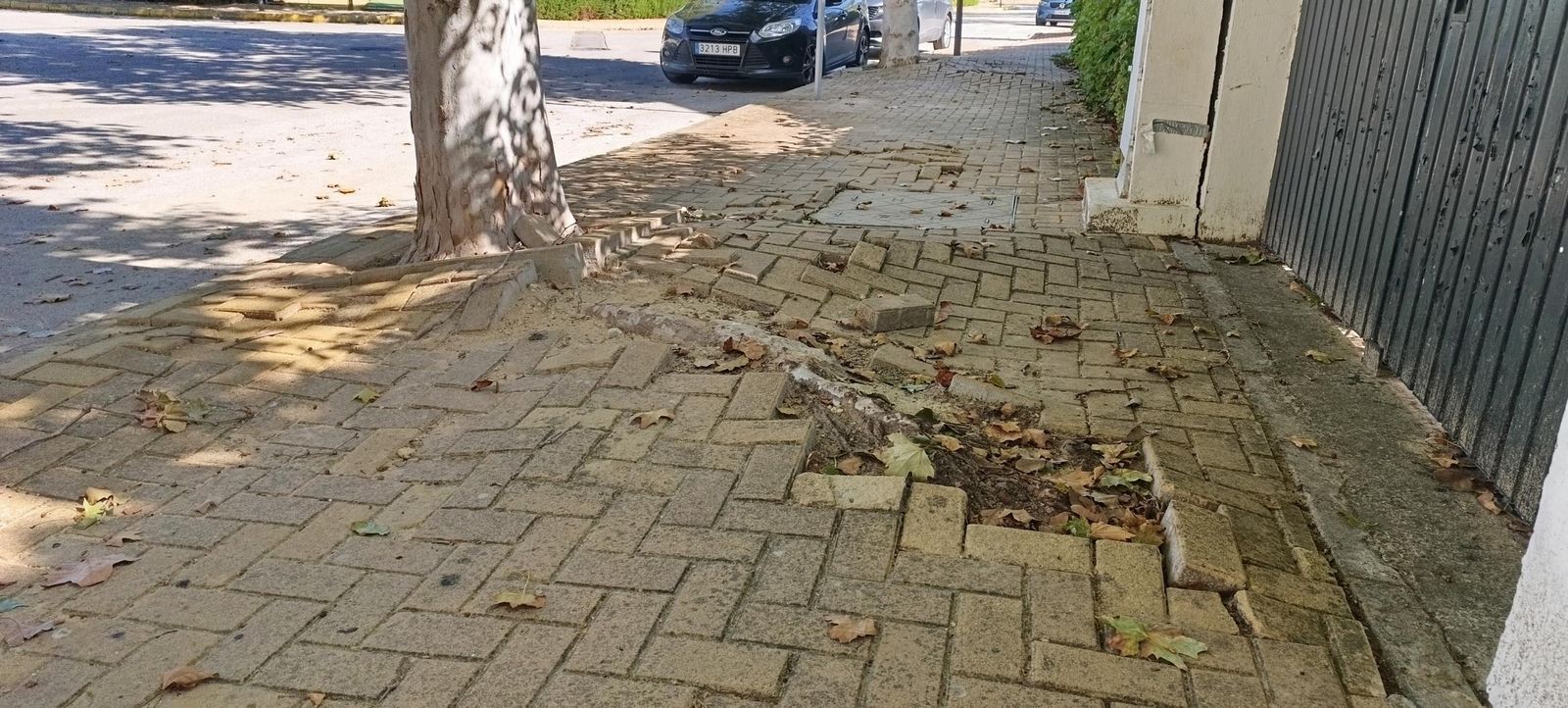 Una imagen del acerado, totalmente deteriorado.