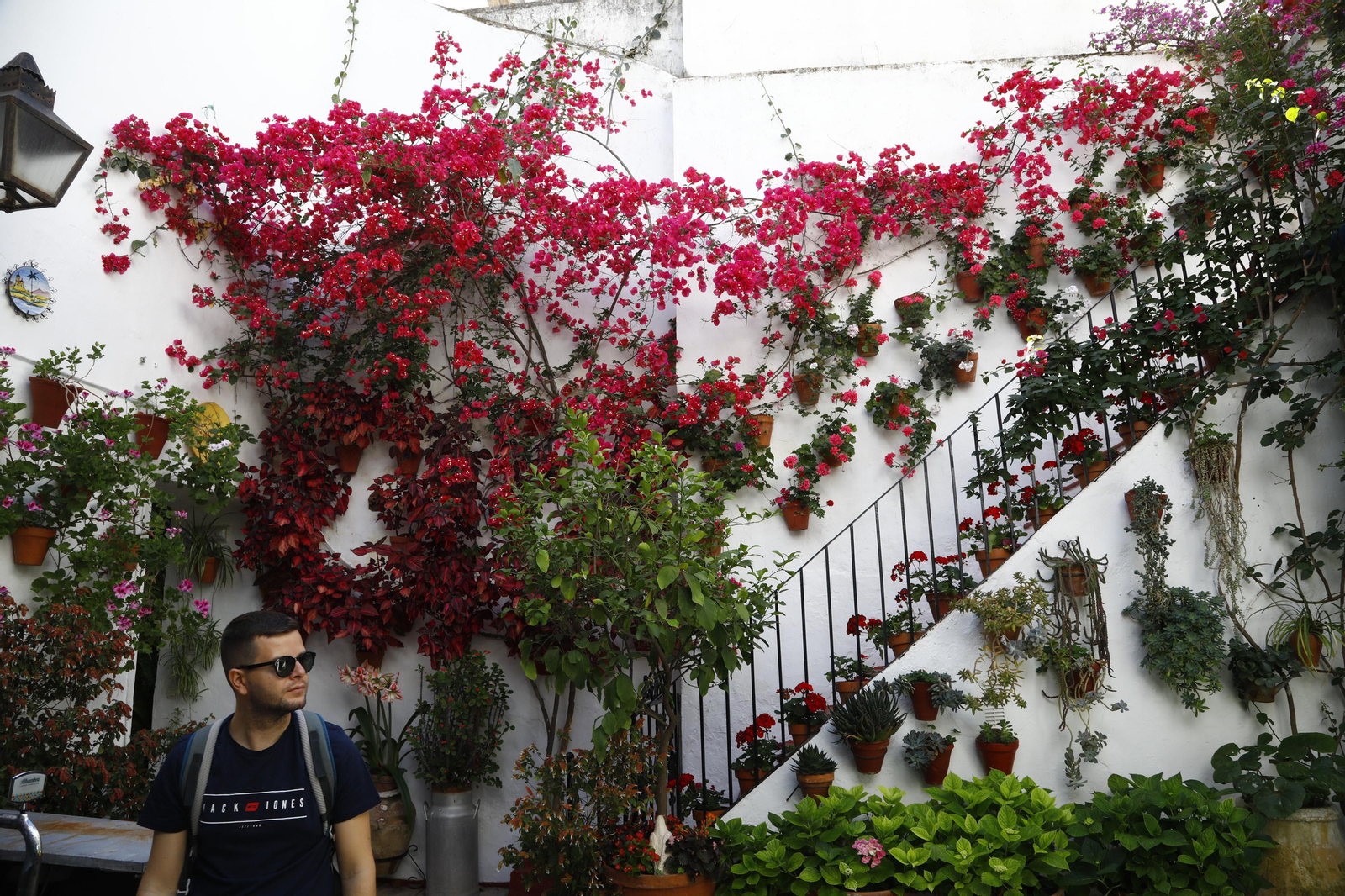 Los Patios de Córdoba se preparan para el fin de semana, en imágenes