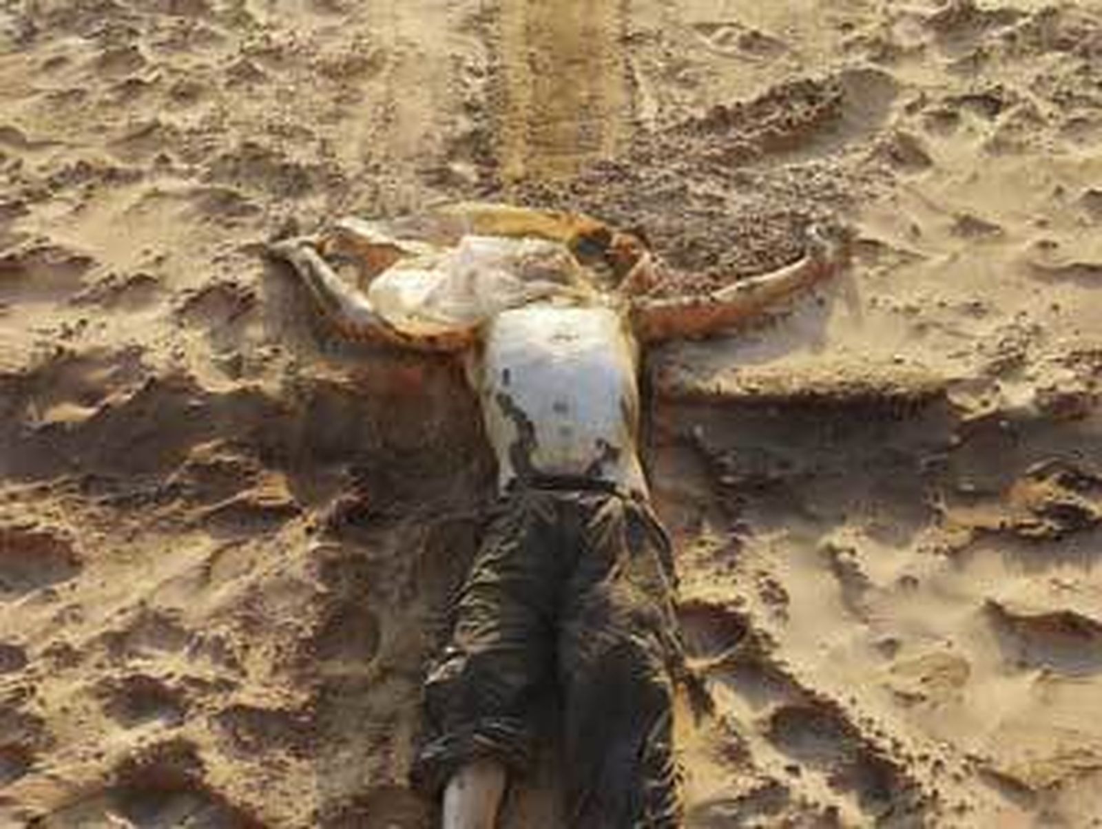 Uno de los cuerpos que aparecieron varios días después en una de las playas de El Puerto. /Fito Carreto