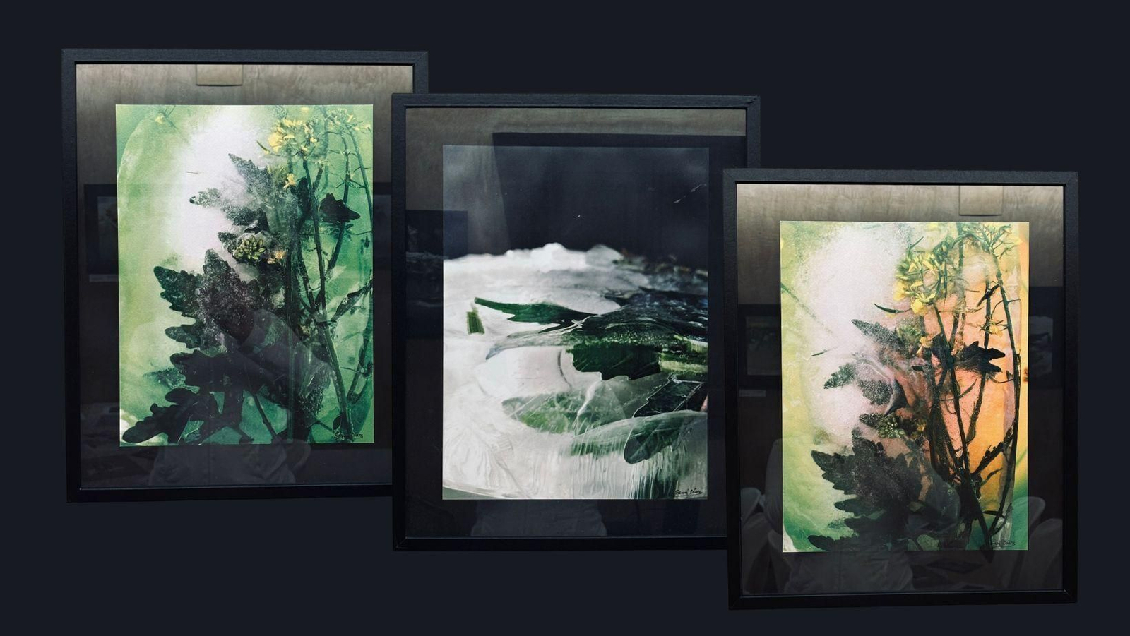 Exposición 'Flores de invierno', de Sensi Díaz, en Artio.