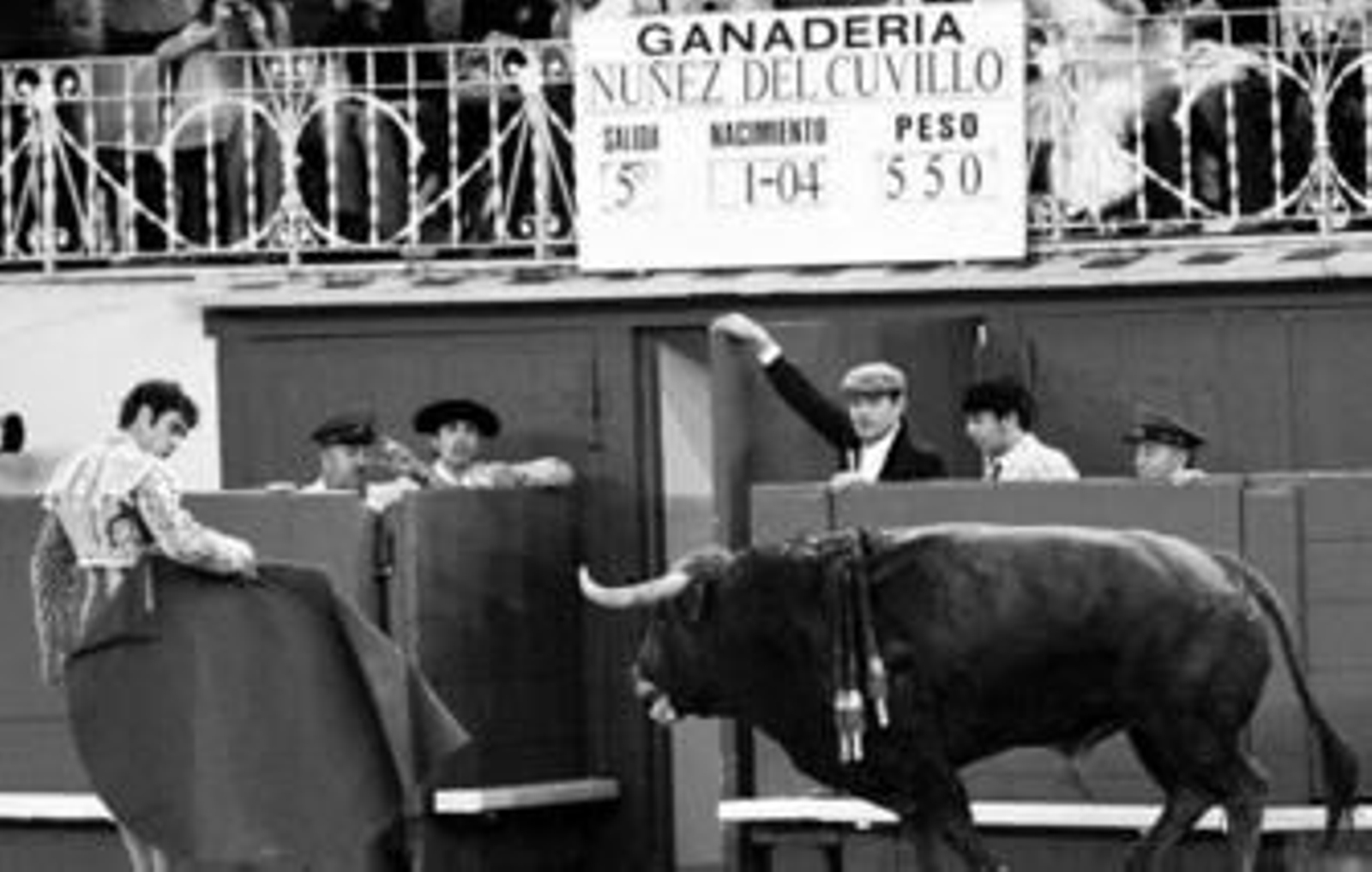 José Tomás llevando al toro 'Idílico', de Núñez del Cuvillo, indultado, hasta la puerta de toriles.