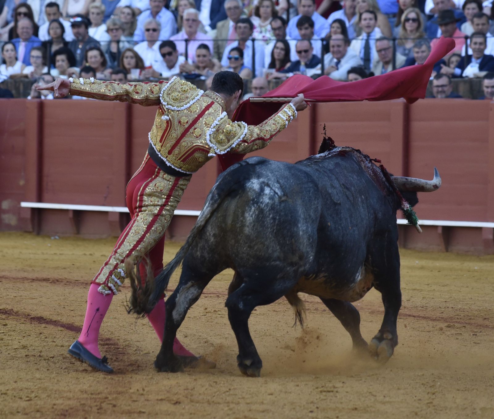 La 14ª de abono en la Real Maestranza de Sevilla, en imágenes