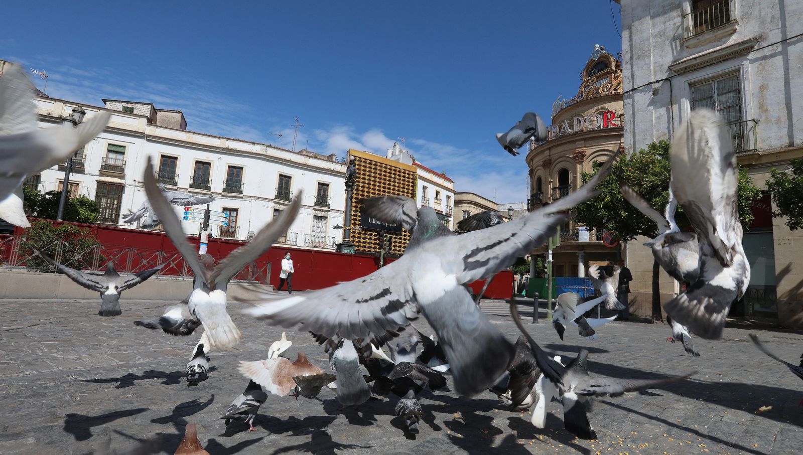 Coronavirus, imágenes del sábado 11 de  Abril