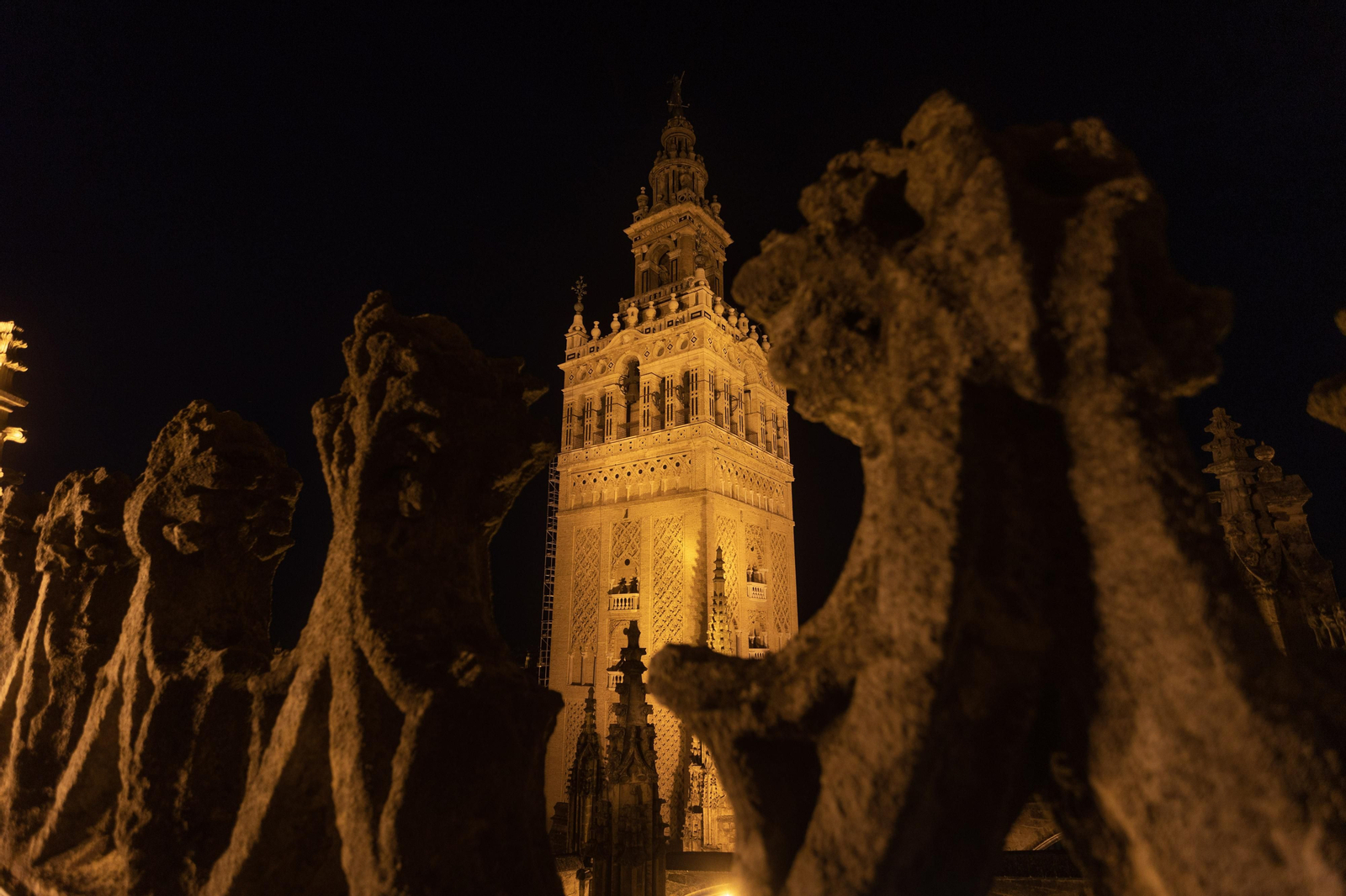 Las impresionantes imágenes de las cubiertas de la Catedral al anochecer