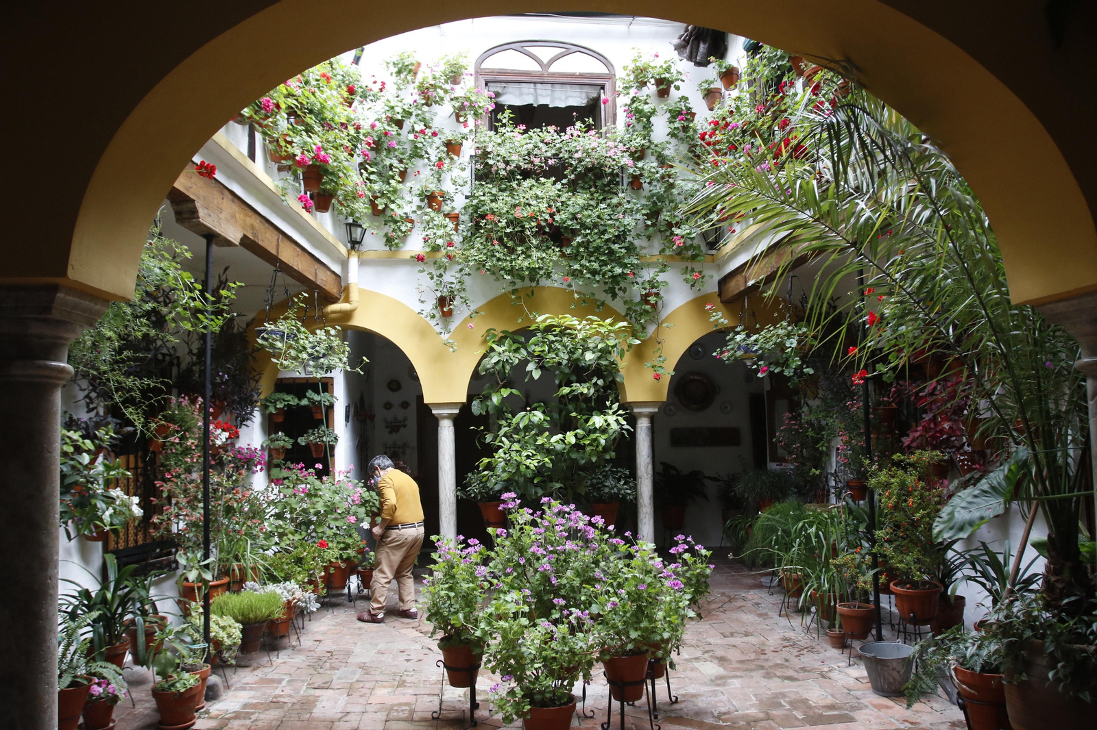 Los Patios de Córdoba en tiempos de crisis: Duque de la Victoria, 3