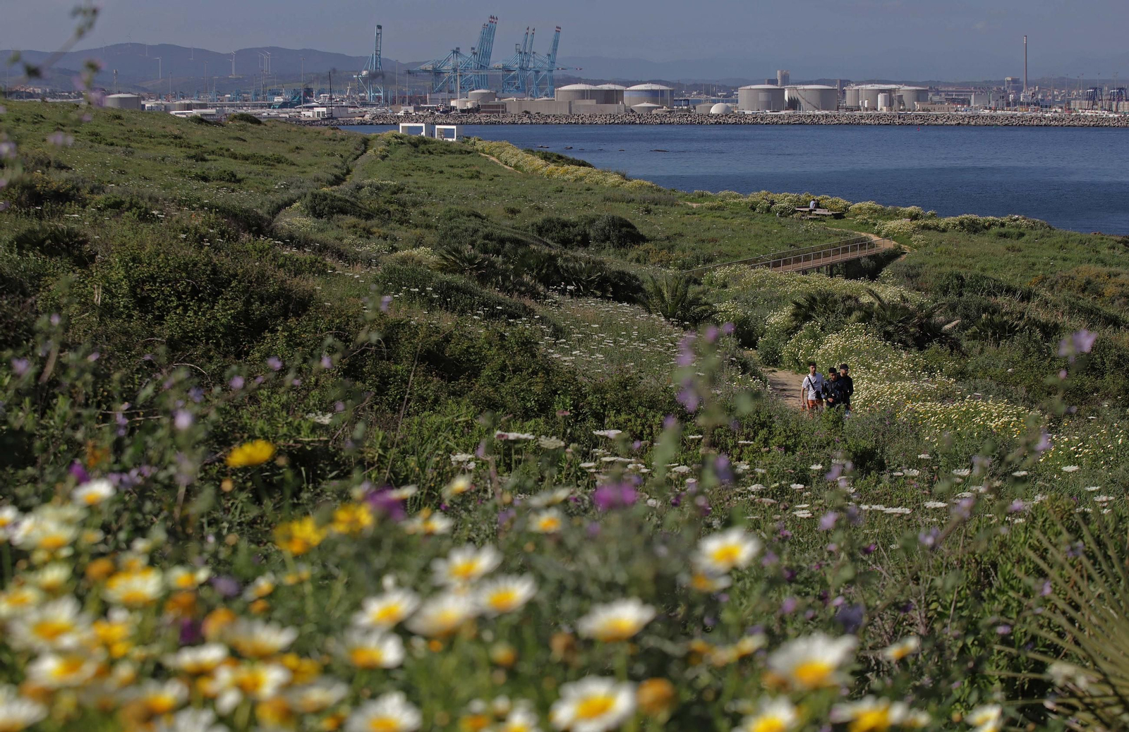 Fotos del estado de abandono del Parque del Centenario de Algeciras