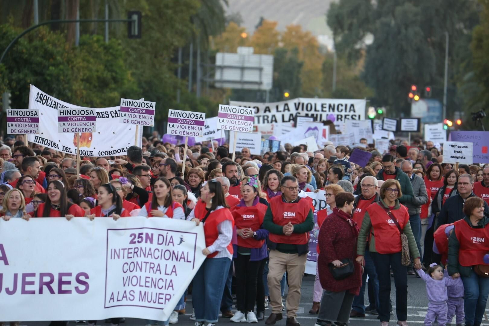 La manifestación del 25N en Córdoba, en imágenes