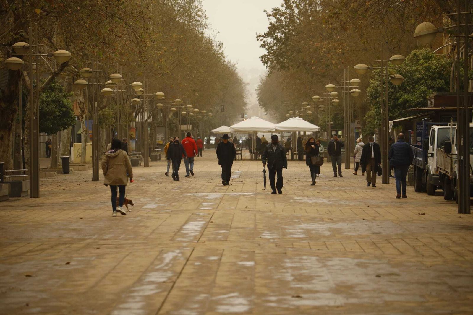 El bulevar del Gran Capitán, embarrado por la calima.