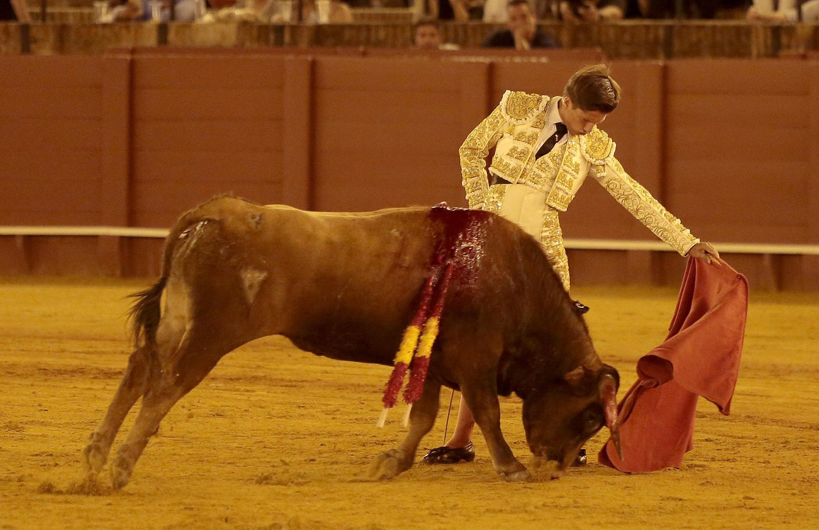 Las imágenes de la primera novillada de promoción en La Maestranza